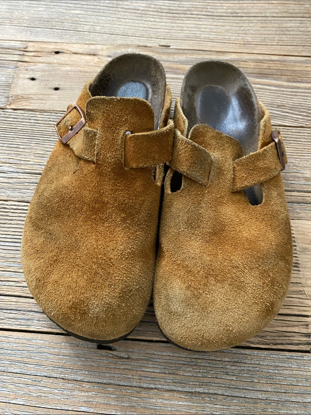 Mink Bostons. 37.